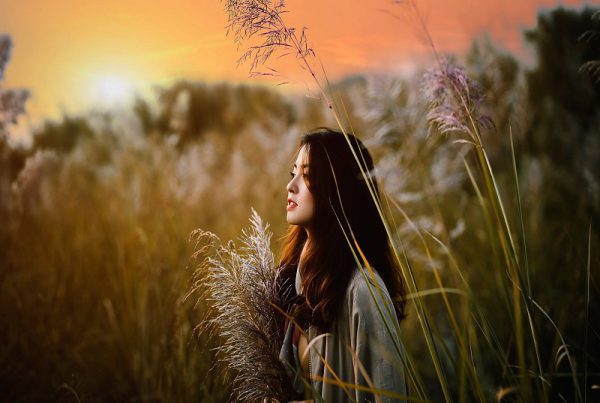 Ánh sáng trong nhiếp ảnh